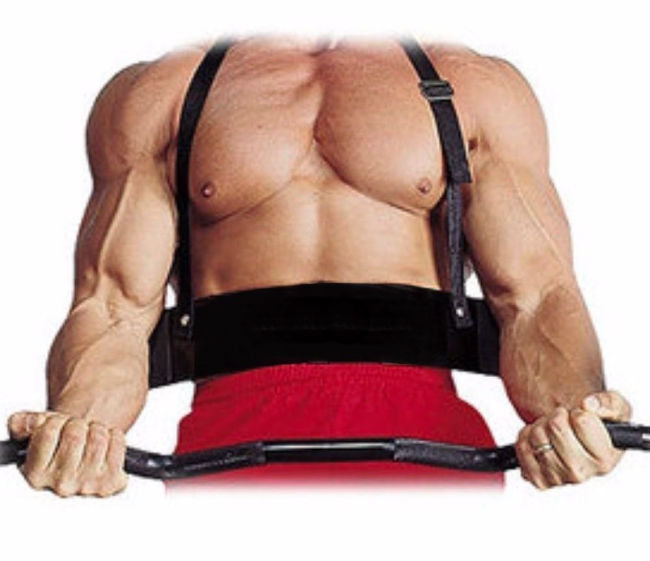 D8 Fitness - Aluminum Arms Blaster Bicep Curl Frame